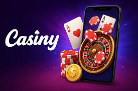 Discover the Exclusive Benefits of Casiny VIP Program Discover the Exclusive Benefits of Casiny VIP Program