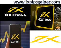 Exploring the Features and Benefits of Exness Web Platform