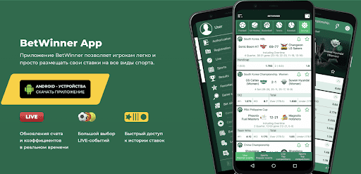 Baji Software Download Your Gateway to Seamless Online Experience