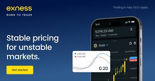 The Future of Trading Exploring the Exness Trading Platform