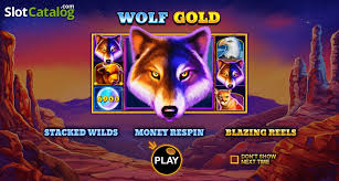 마법 같은 세상, Wolf Gold의 매력