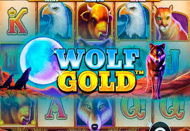 마법 같은 세상, Wolf Gold의 매력