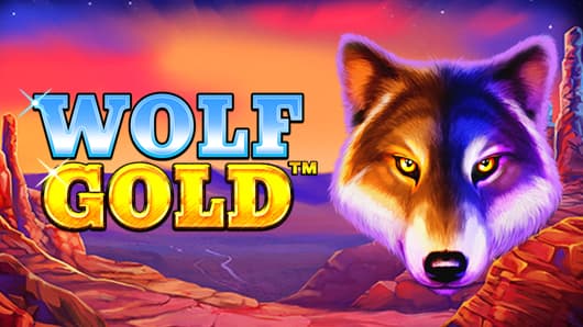 마법 같은 세상, Wolf Gold의 매력
